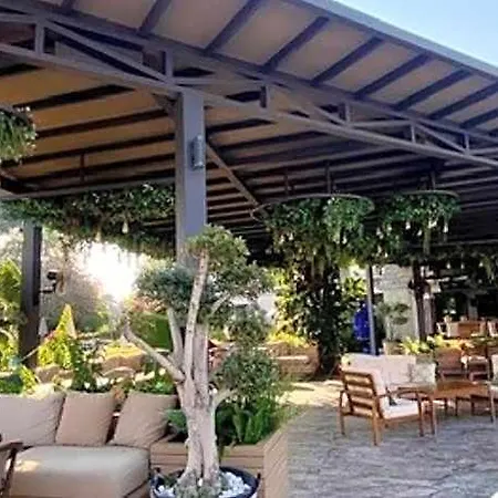Mutlu Φετιγιέ